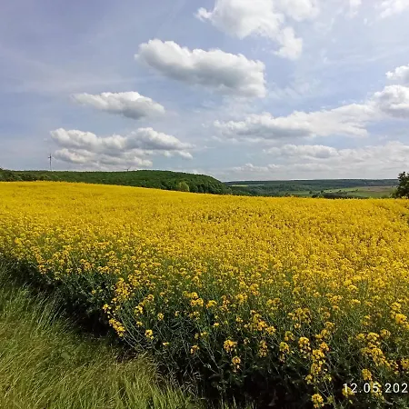 Komfortabler Bungalow, 15 , 2 Bis 4 Personen, Europa-feriendorf بيت للعطل