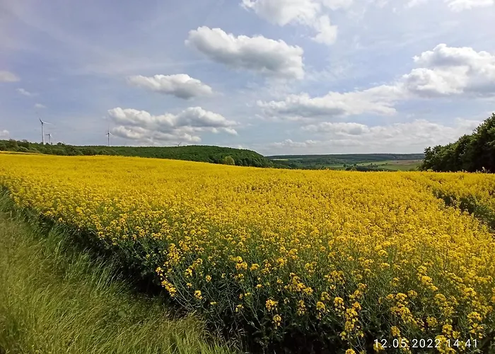 Komfortabler Bungalow, 15 , 2 Bis 4 Personen, Europa-feriendorf Σπίτι διακοπών